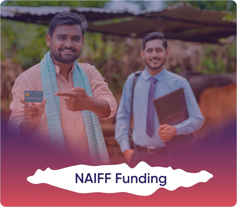 NAIFF Funding